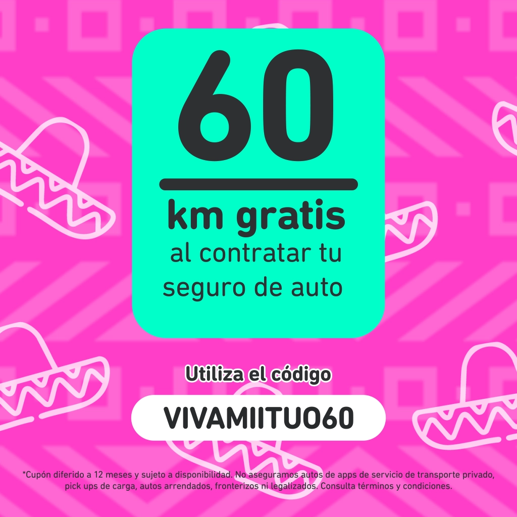 Pago por km