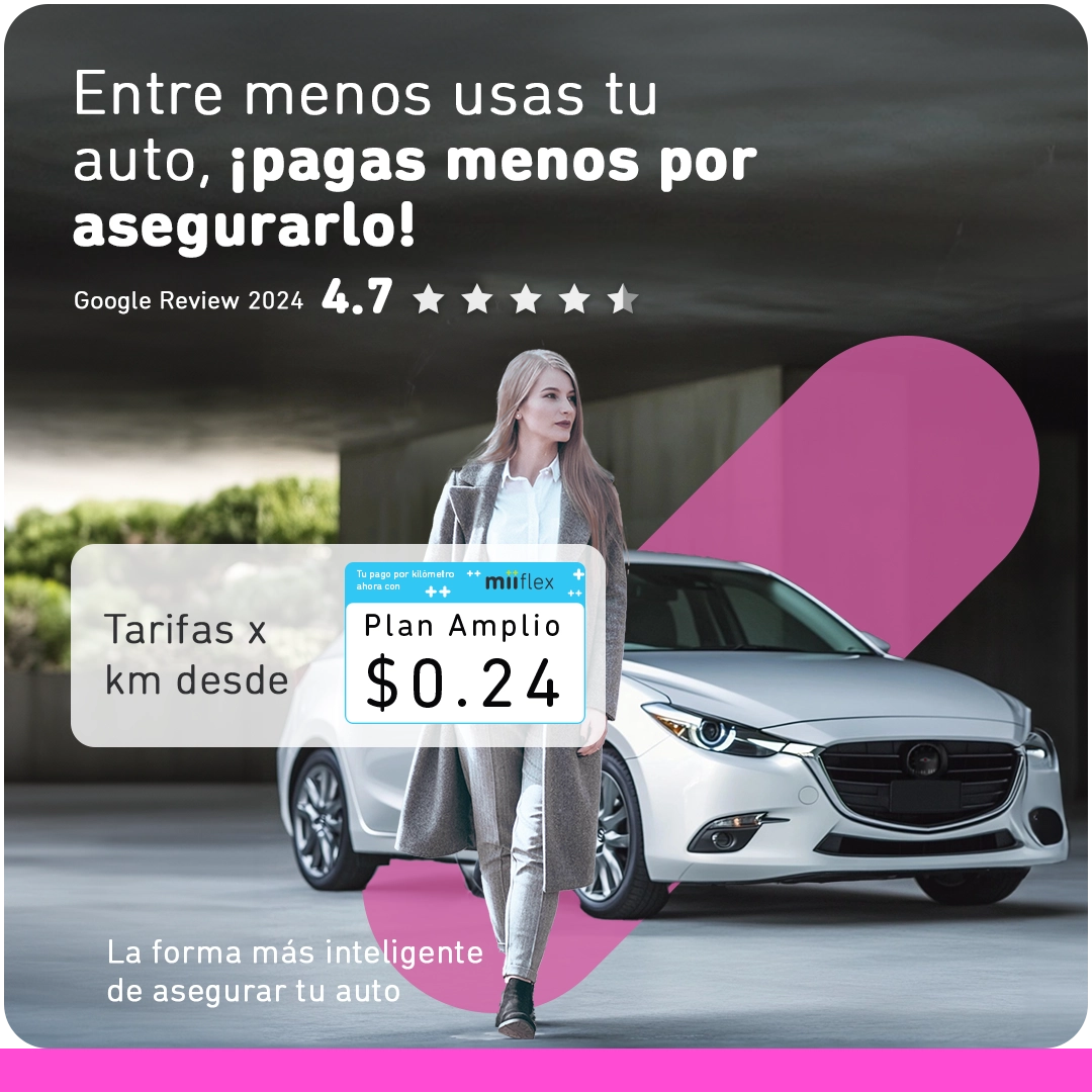 cotizarseguroporkm